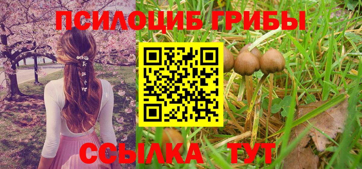 Псилоцибиновые грибы Magic Shrooms  Вход с VPN  Москва 