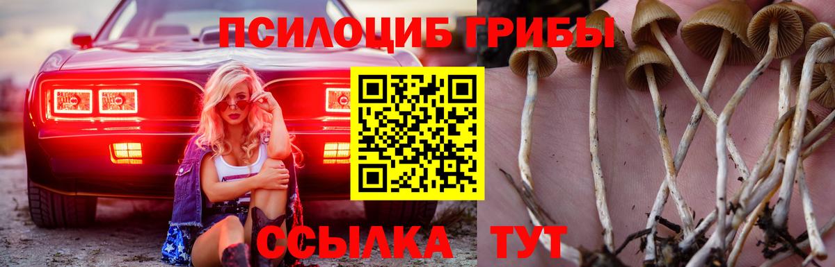 Галлюциногенные грибы ЛСД Москва